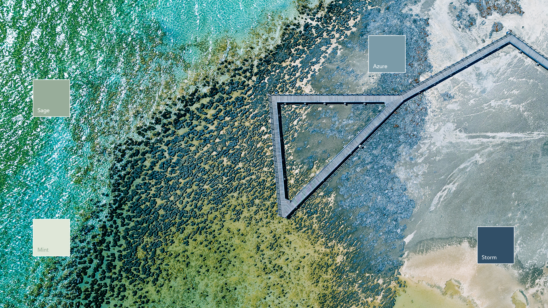 20210308 RW-RF ILLUS 674